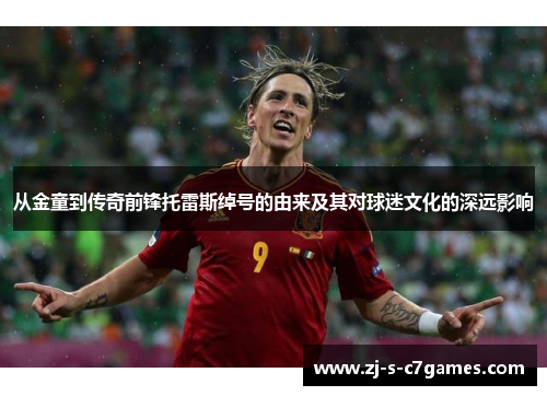 从金童到传奇前锋托雷斯绰号的由来及其对球迷文化的深远影响 从金童到传奇前锋托雷斯绰号的由来及其对球迷文化的深远影响